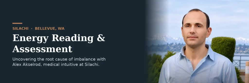 Energy Reading and Assessment at Silachi