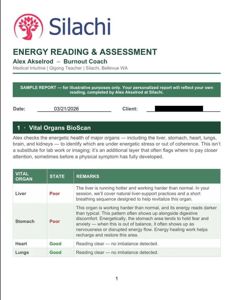 Energy Reading at Silachi (Sample)
